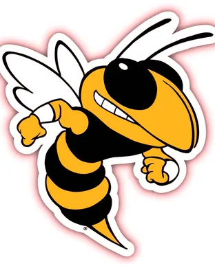 Georgia Tech Yellow Jackets Football Atlanta