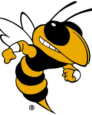 Georgia Tech Yellow Jackets Atlanta