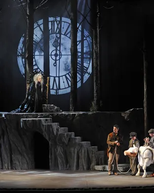 Into The Woods Costa Mesa