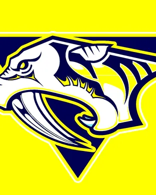 Nashville Predators Nashville
