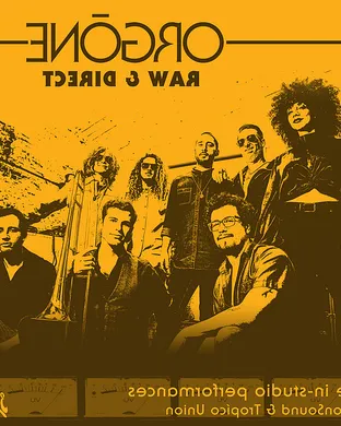 Orgone Los Angeles