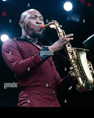 Seun Kuti Los Angeles