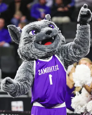 St. Thomas University Tommies Saint Paul