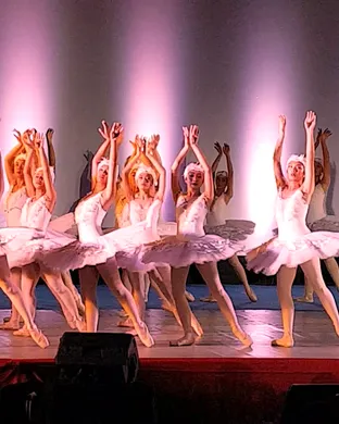 Swan Lake Irvine