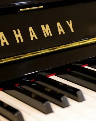 The Piano Guys Los Angeles