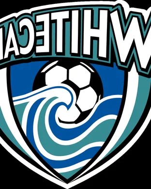 Vancouver Whitecaps Fc Carson