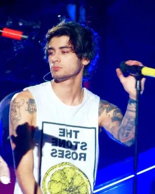 Zayn Anaheim