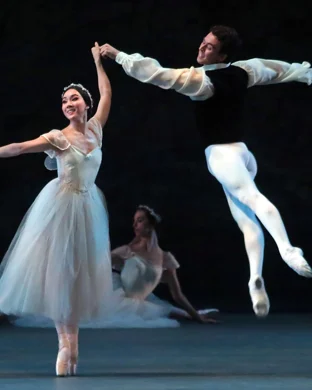 Swan Lake - Symphony of Lights Los Angeles